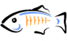澳門現場GlassFish培訓